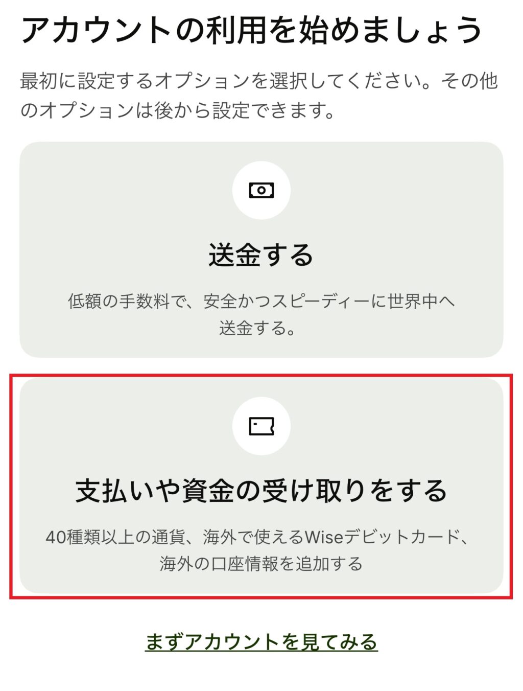 Wise（ワイズ）アカウント利用オプション設定