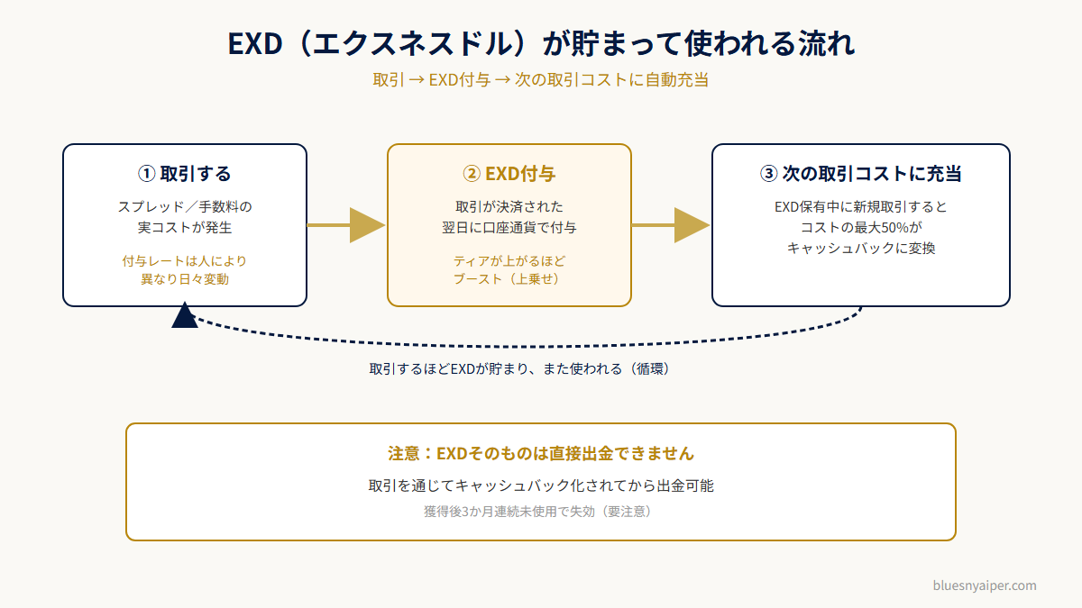 EXD(エクスネスドル)が貯まって使われる流れ
