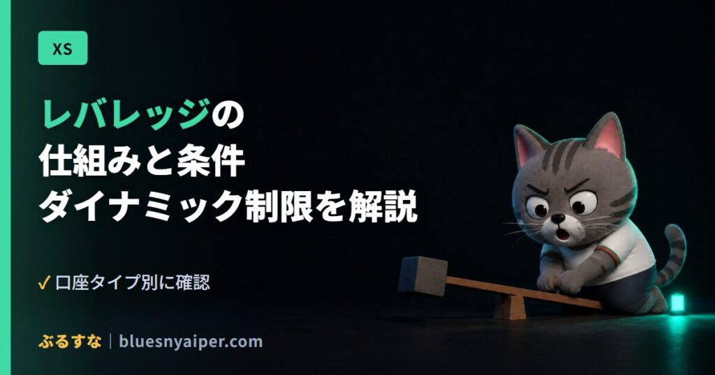 レバレッジの 仕組みと条件 ダイナミック制限を解説