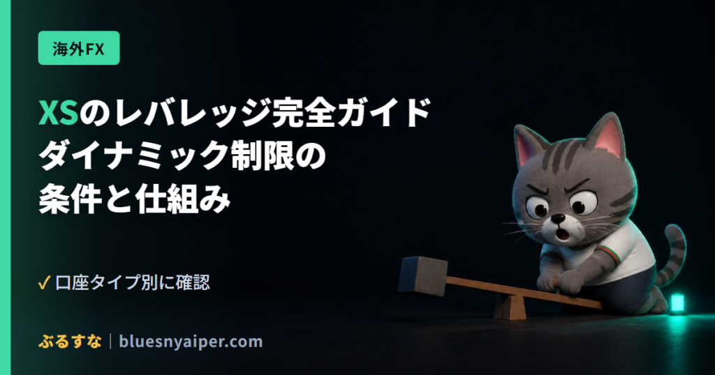 XSのレバレッジ完全ガイド ダイナミック制限の 条件と仕組み