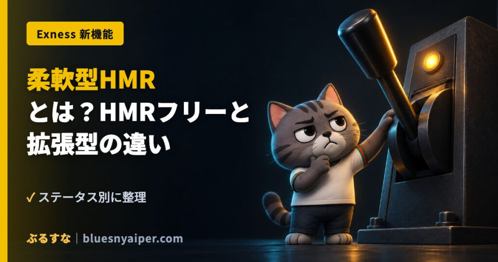 柔軟型HMR とは？HMRフリーと 拡張型の違い